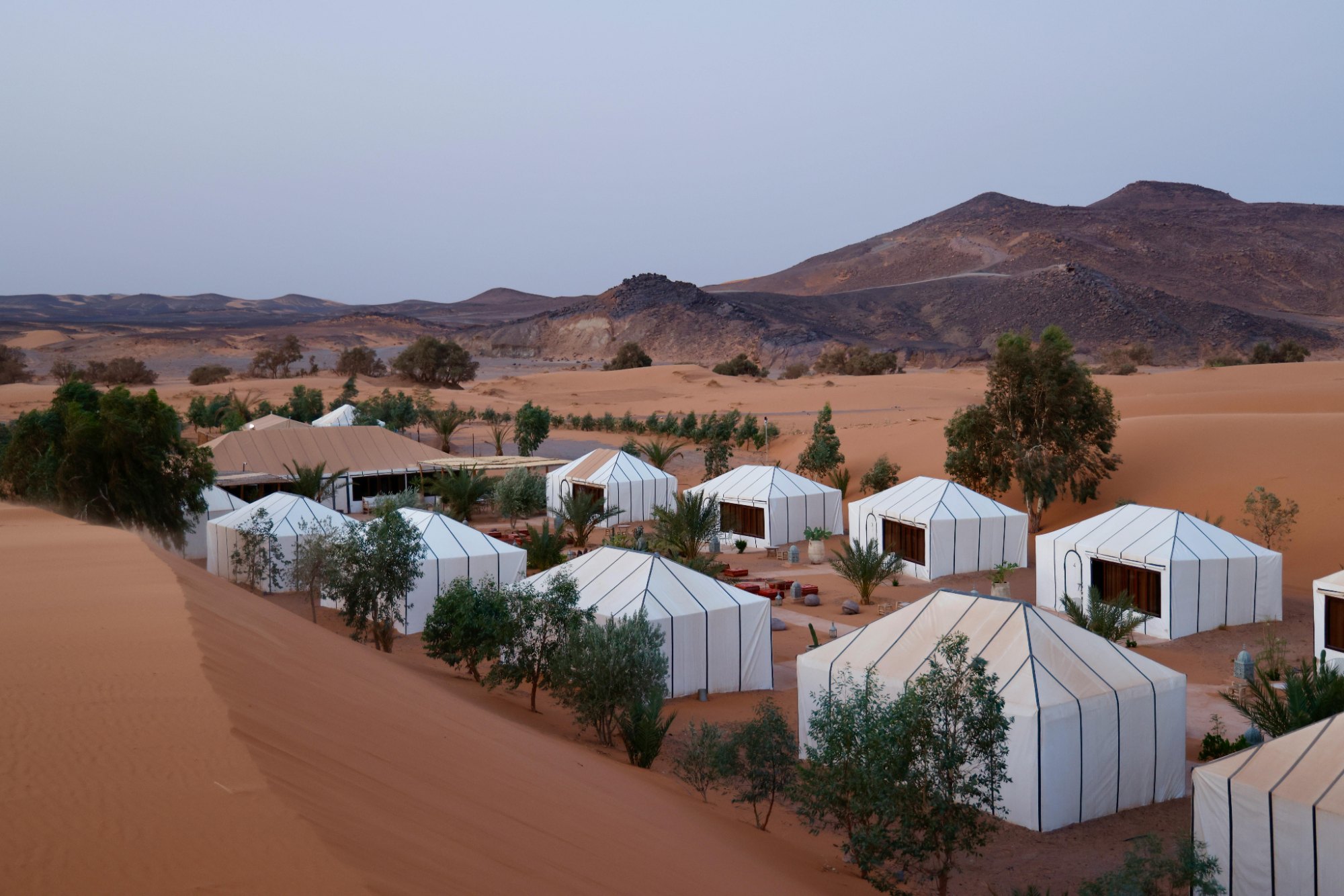Desert Camp Night