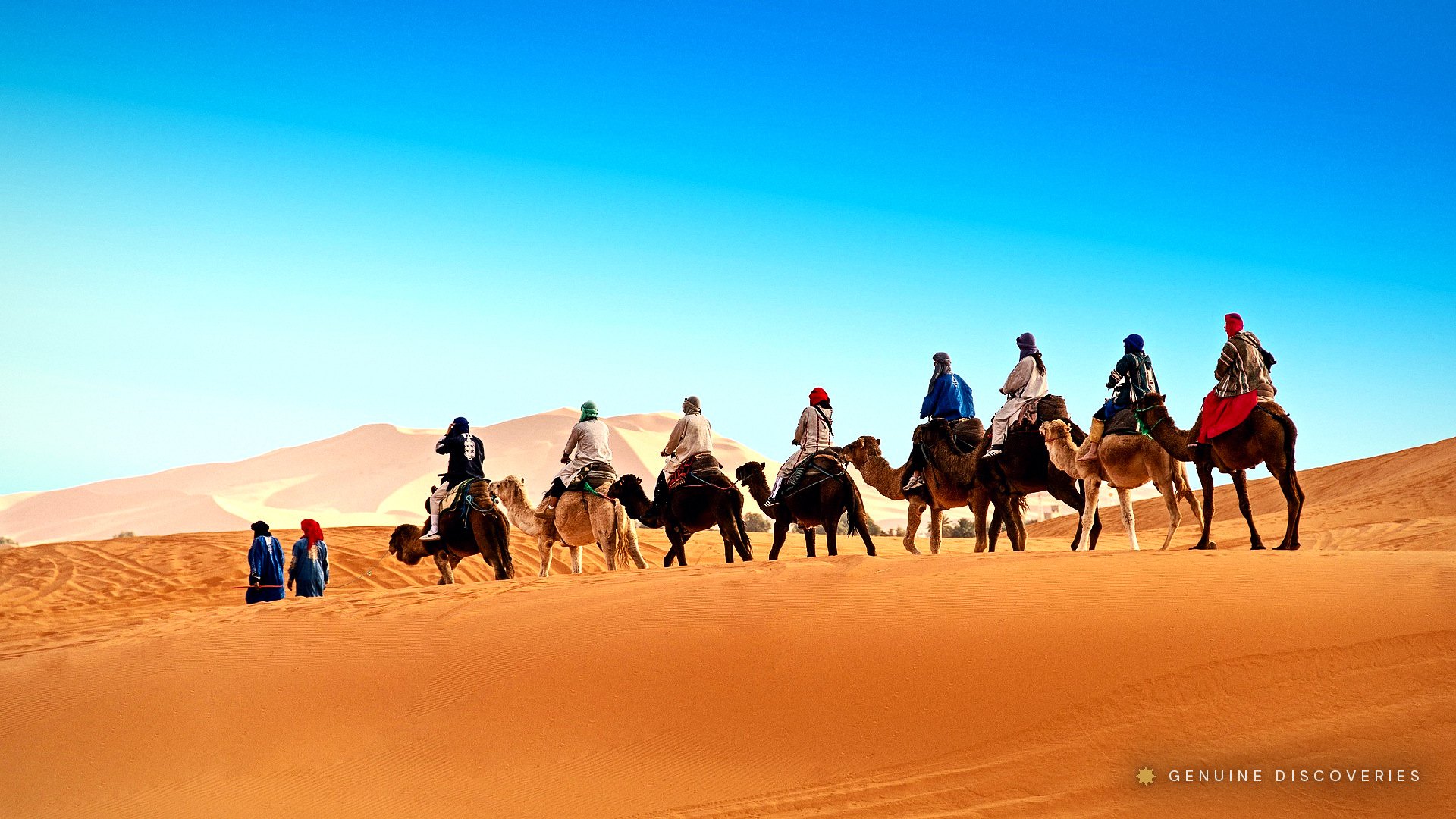 Sahara Desert Nights