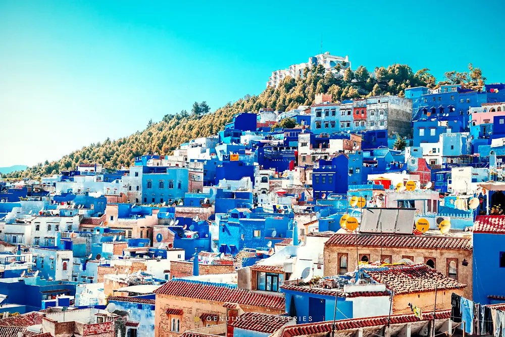 Colors of Morocco
