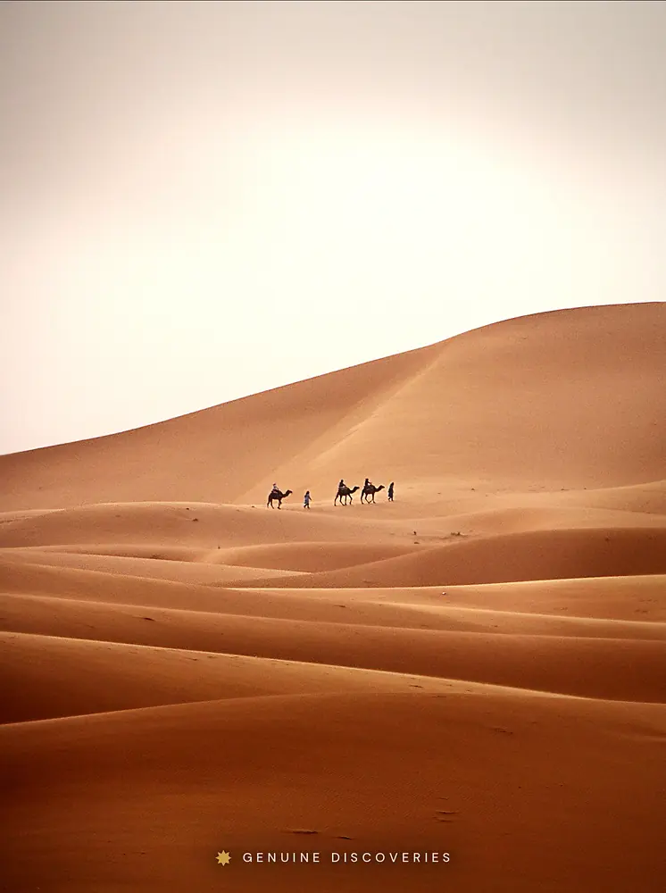 Desert & Wilderness
